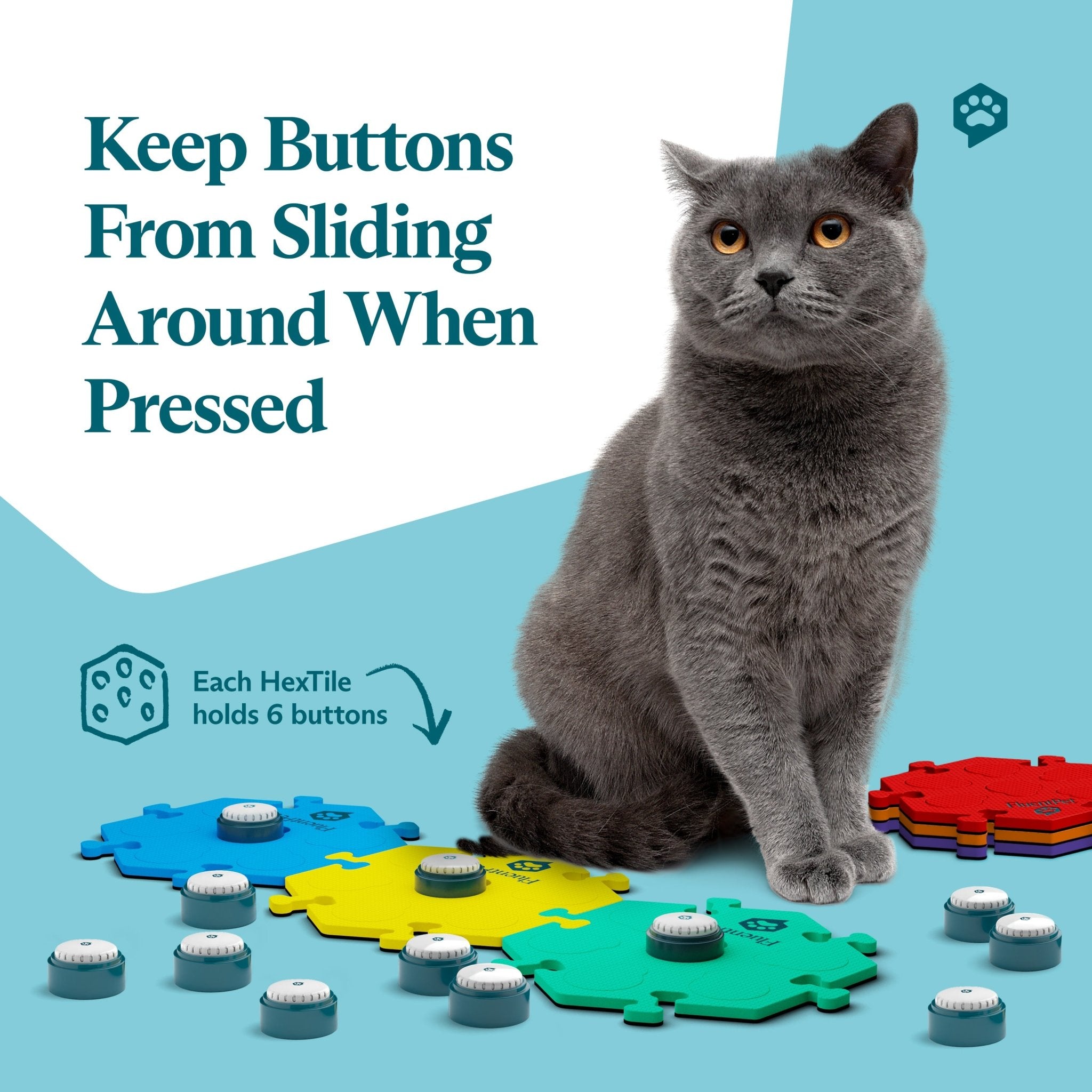 Fluent Pet Key Vocab Kit Bold