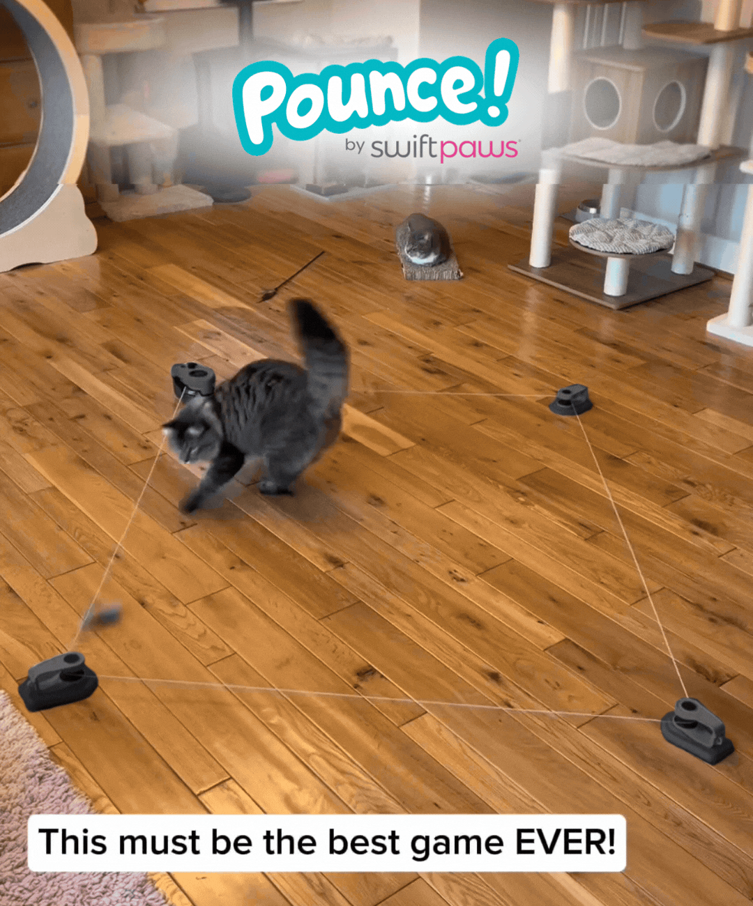 Pounce! Kit