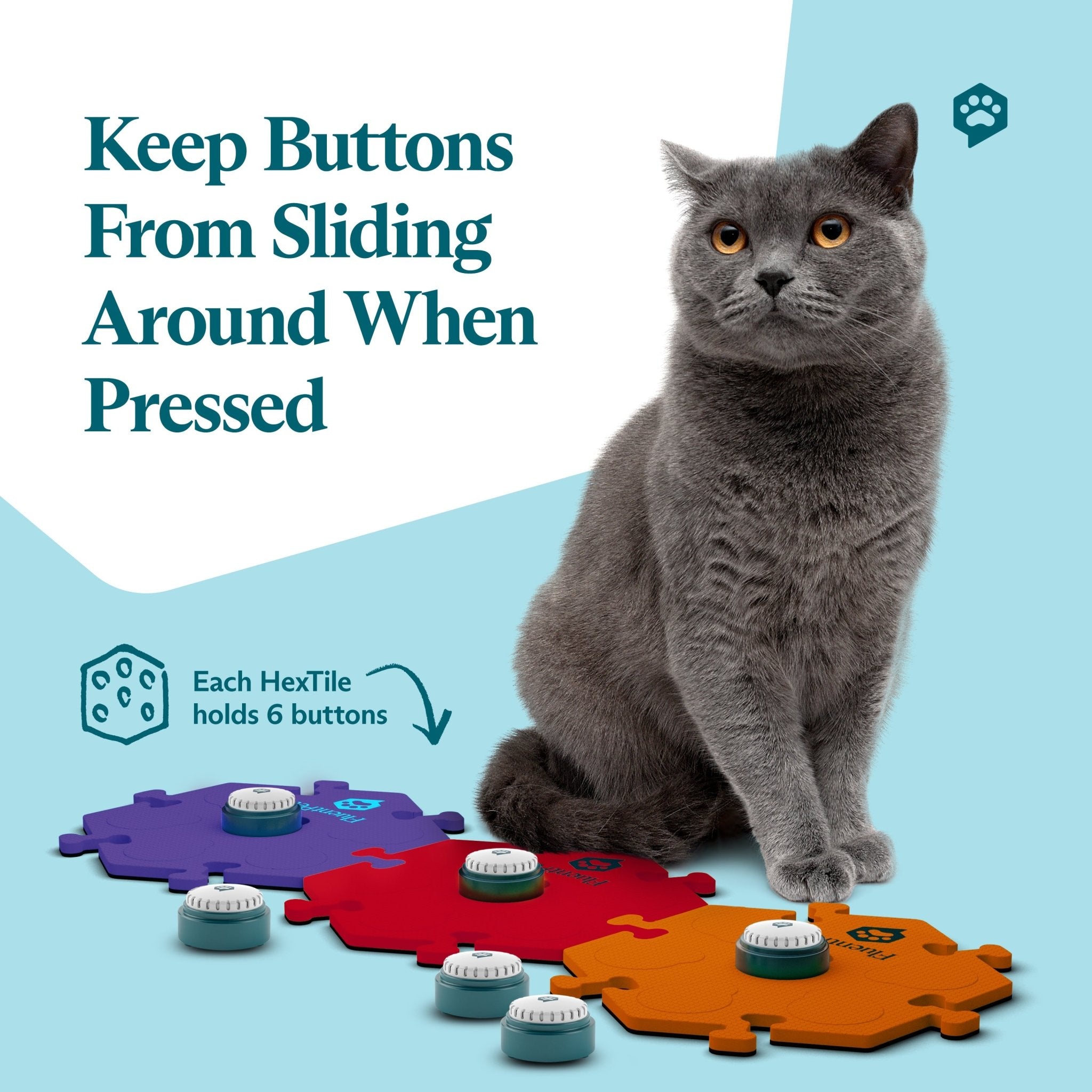 Fluent Pet Get Started Kit Fire