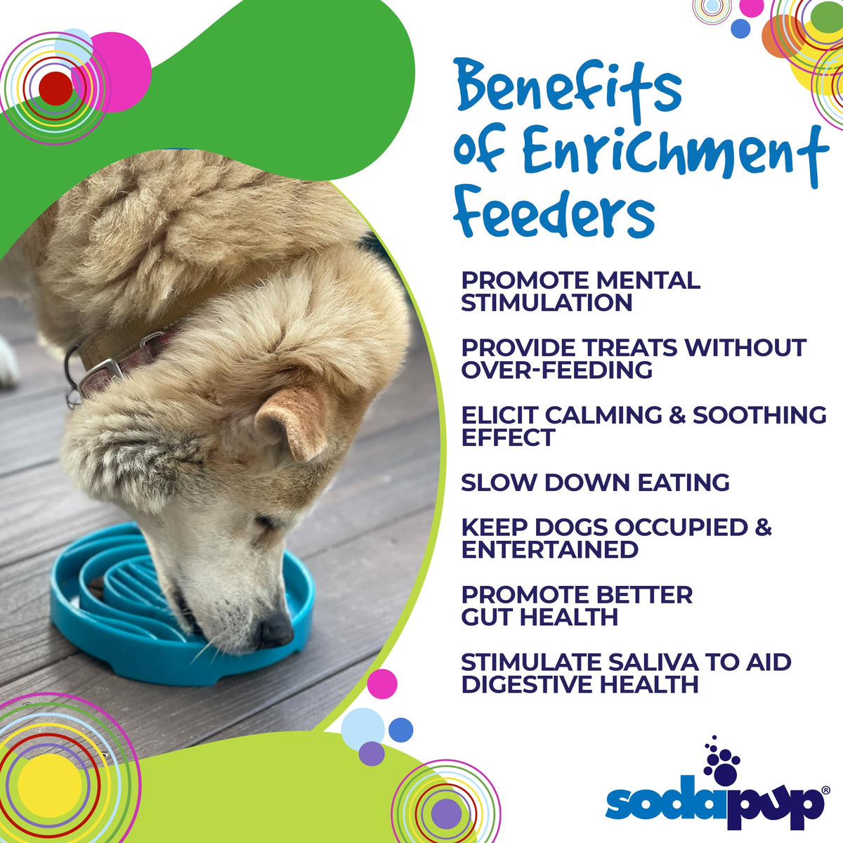 Baja Design eTray - Shallow Slow Feeder Dog Bowl for Enrichment | USA Made - Ulti-Mutt Toys