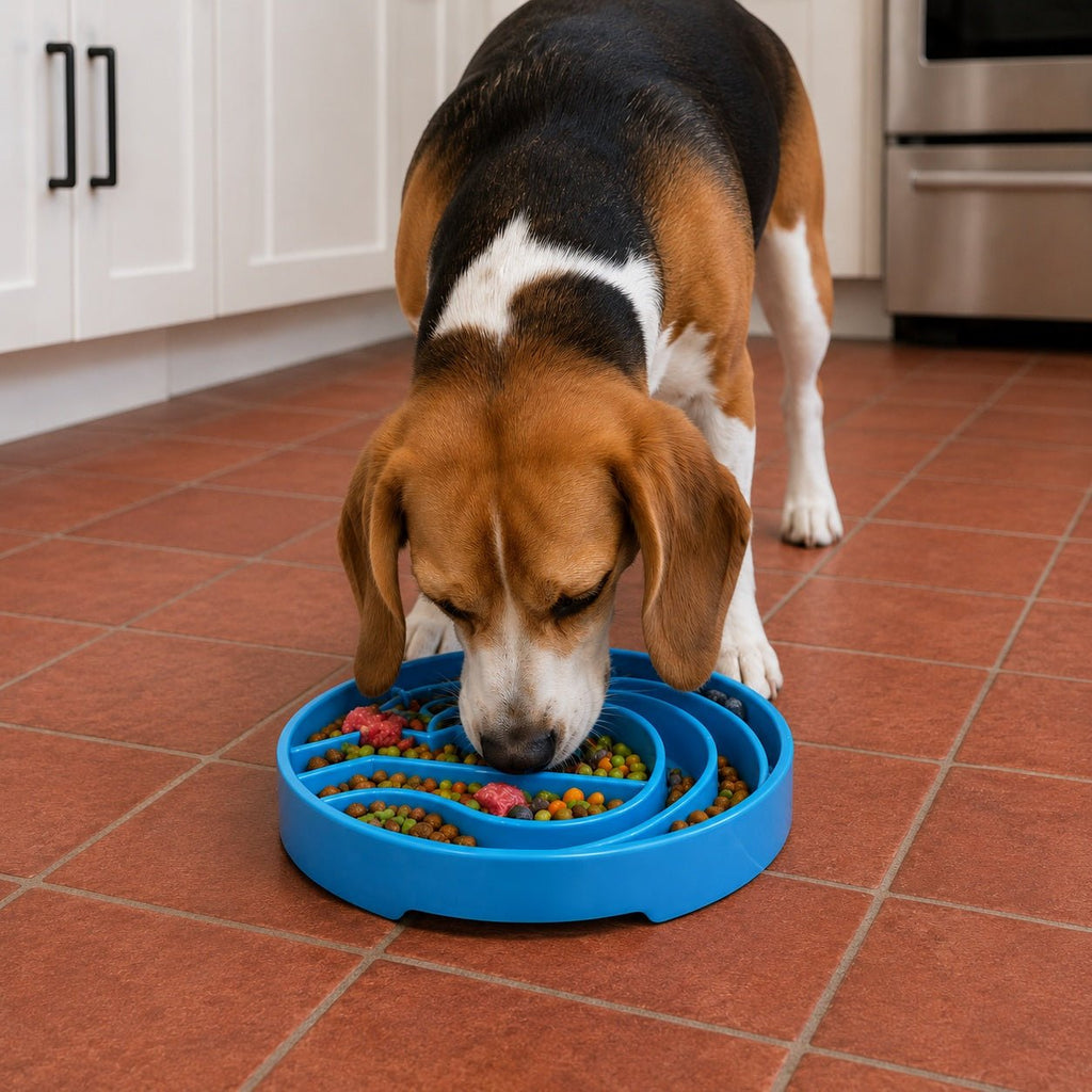 Baja Design eTray - Shallow Slow Feeder Dog Bowl for Enrichment | USA Made - Ulti-Mutt Toys