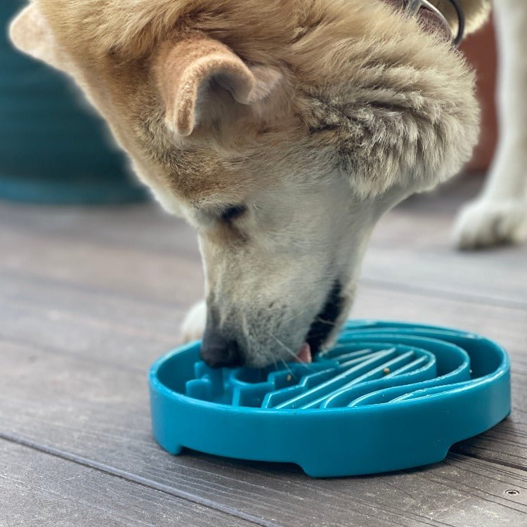 Baja Design eTray - Shallow Slow Feeder Dog Bowl for Enrichment | USA Made - Ulti-Mutt Toys