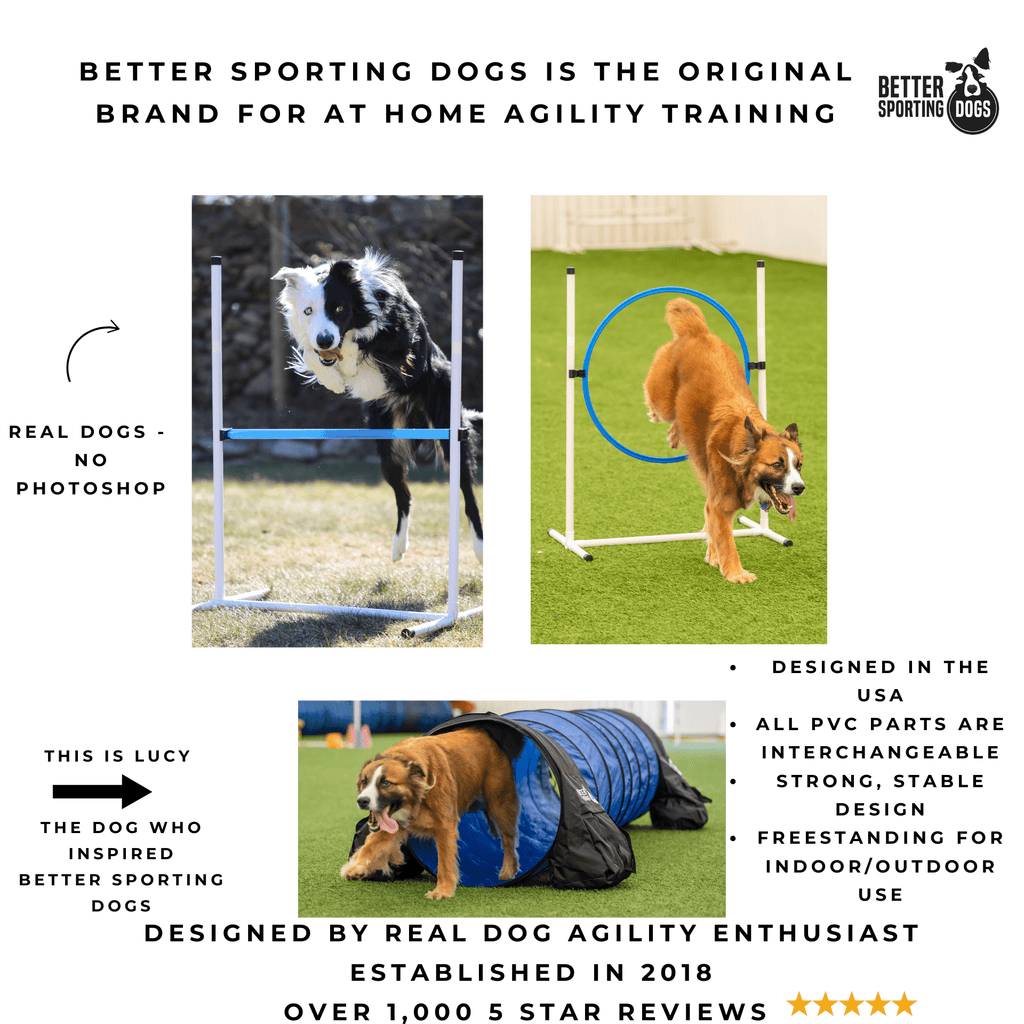 Basic Agility Equipment Set (3 Piece) - Ulti - Mutt Toys