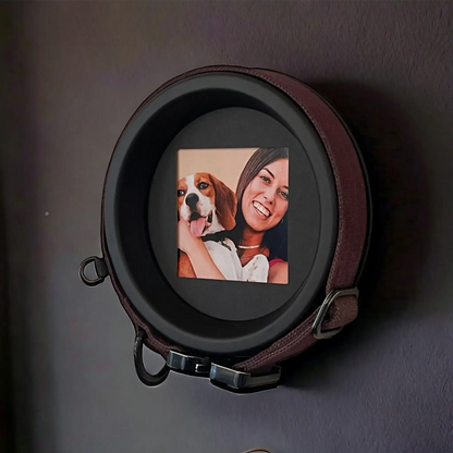Medium Dog Collar Frame | "The Beagle"
