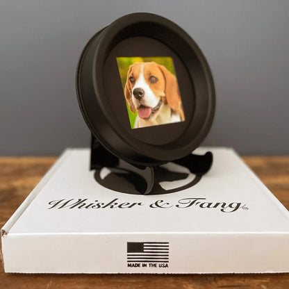 Medium Dog Collar Frame and Stand Bundle | "The Beagle"