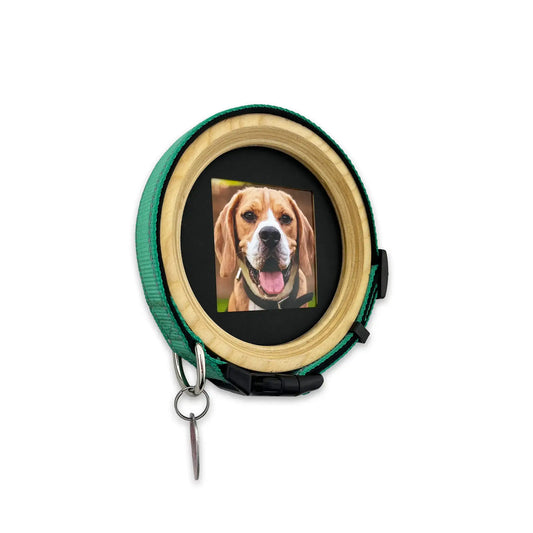 Medium Dog Collar Frame | "The Beagle"