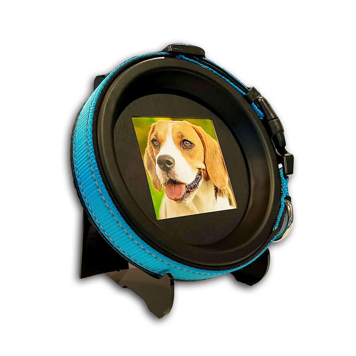 Medium Dog Collar Frame and Stand Bundle | "The Beagle"