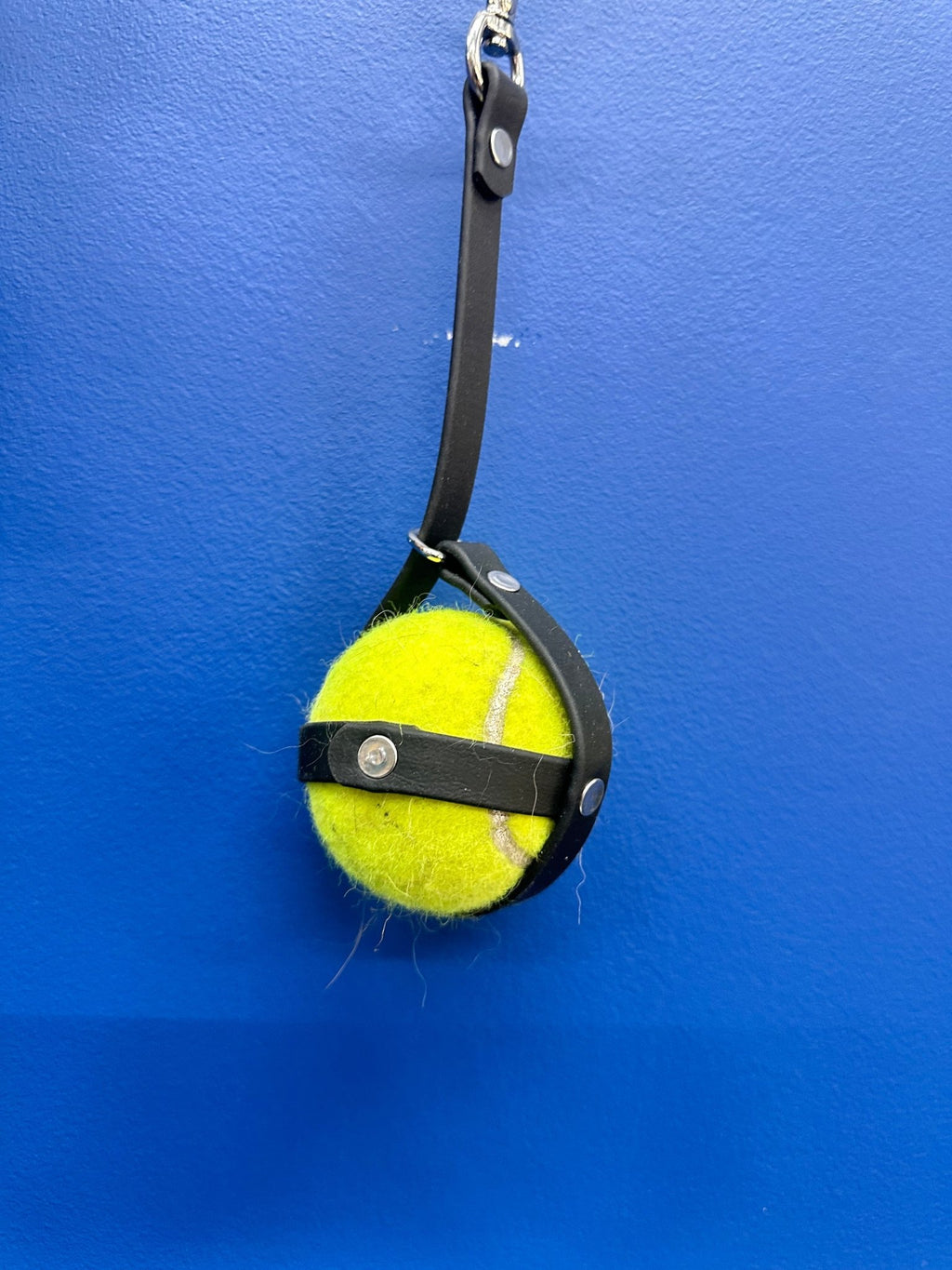 slobber free tennis ball holder against a blue wall