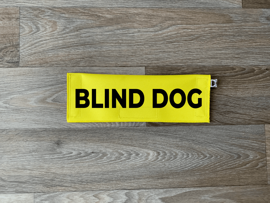 Blind Dog - Ulti-Mutt Toys
