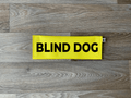 Blind Dog - Ulti-Mutt Toys