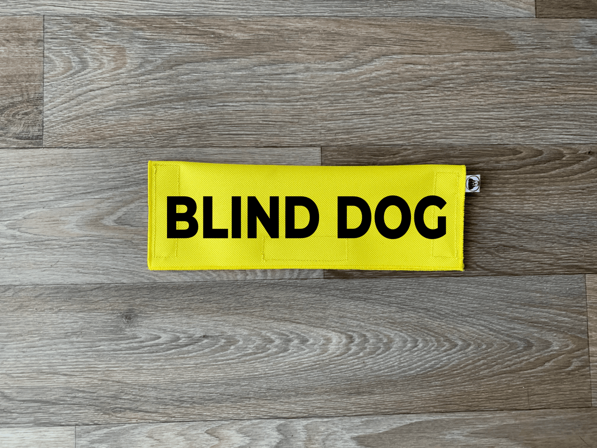 Blind Dog - Ulti-Mutt Toys