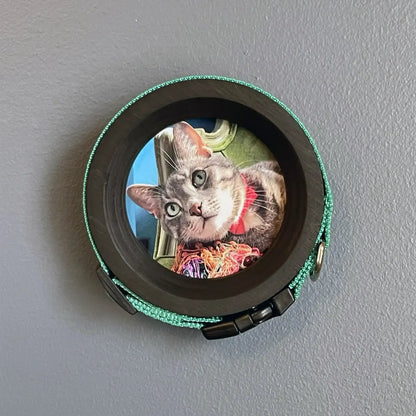 Cat Collar Frame |"The Garfield"