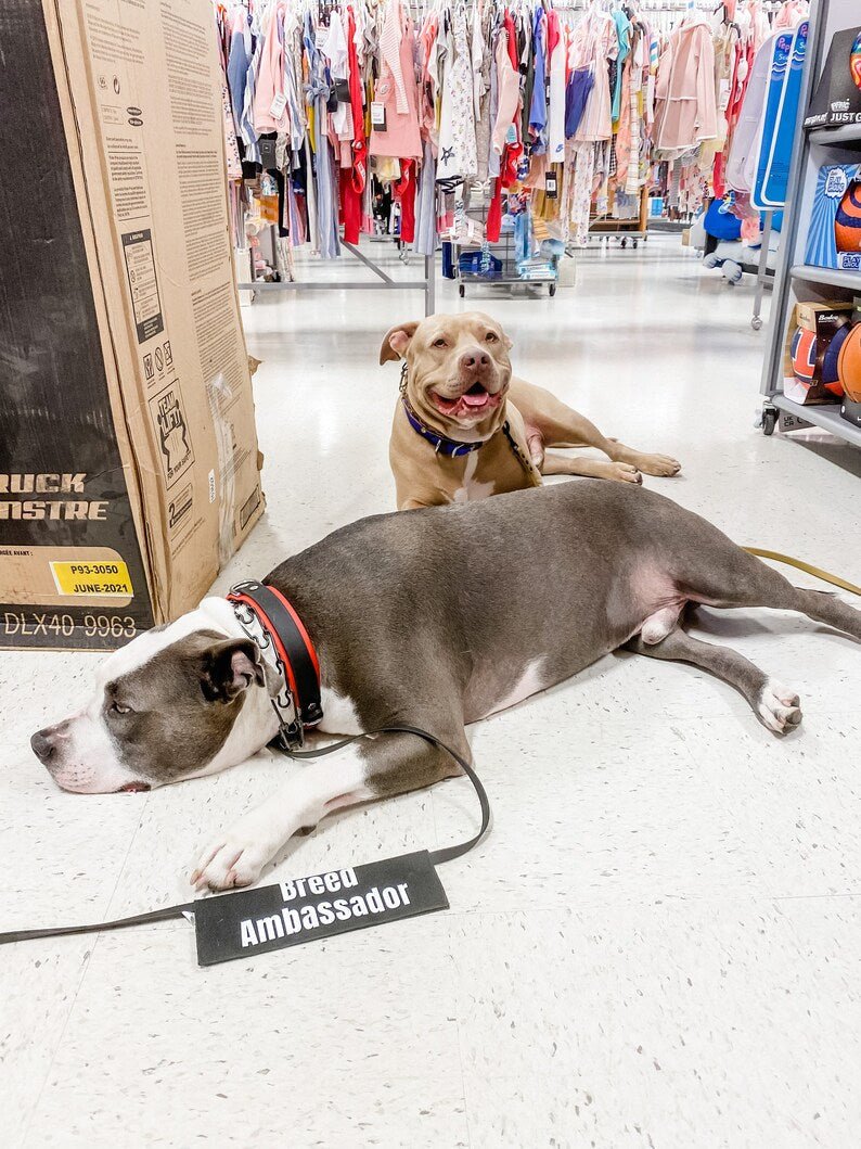 Bully Breed Ambassador - Ulti-Mutt Toys