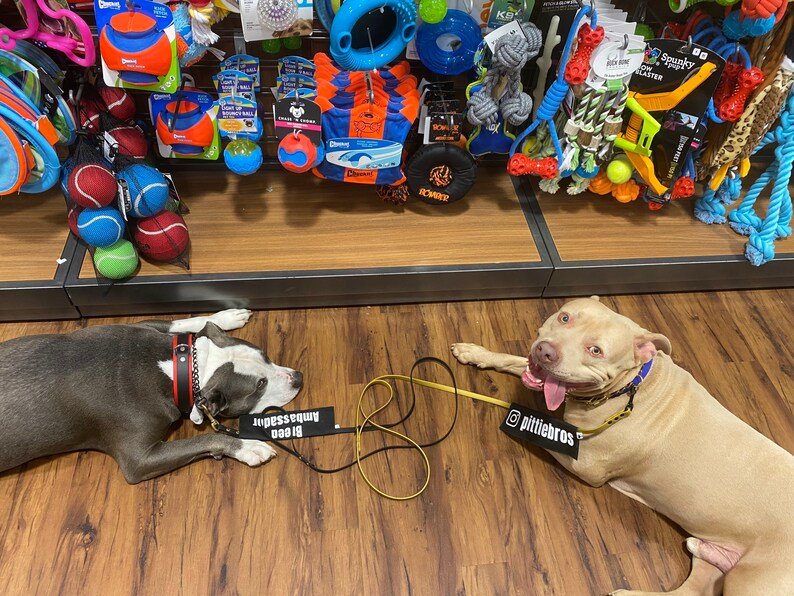Bully Breed Ambassador - Ulti-Mutt Toys
