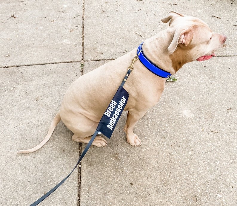 Bully Breed Ambassador - Ulti-Mutt Toys