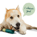 Bully Safe - Ulti - Mutt Toys