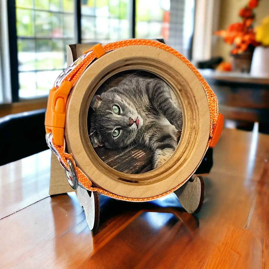 Cat Collar Frame and Stand Bundle | "The Garfield" - Ulti - Mutt Toys