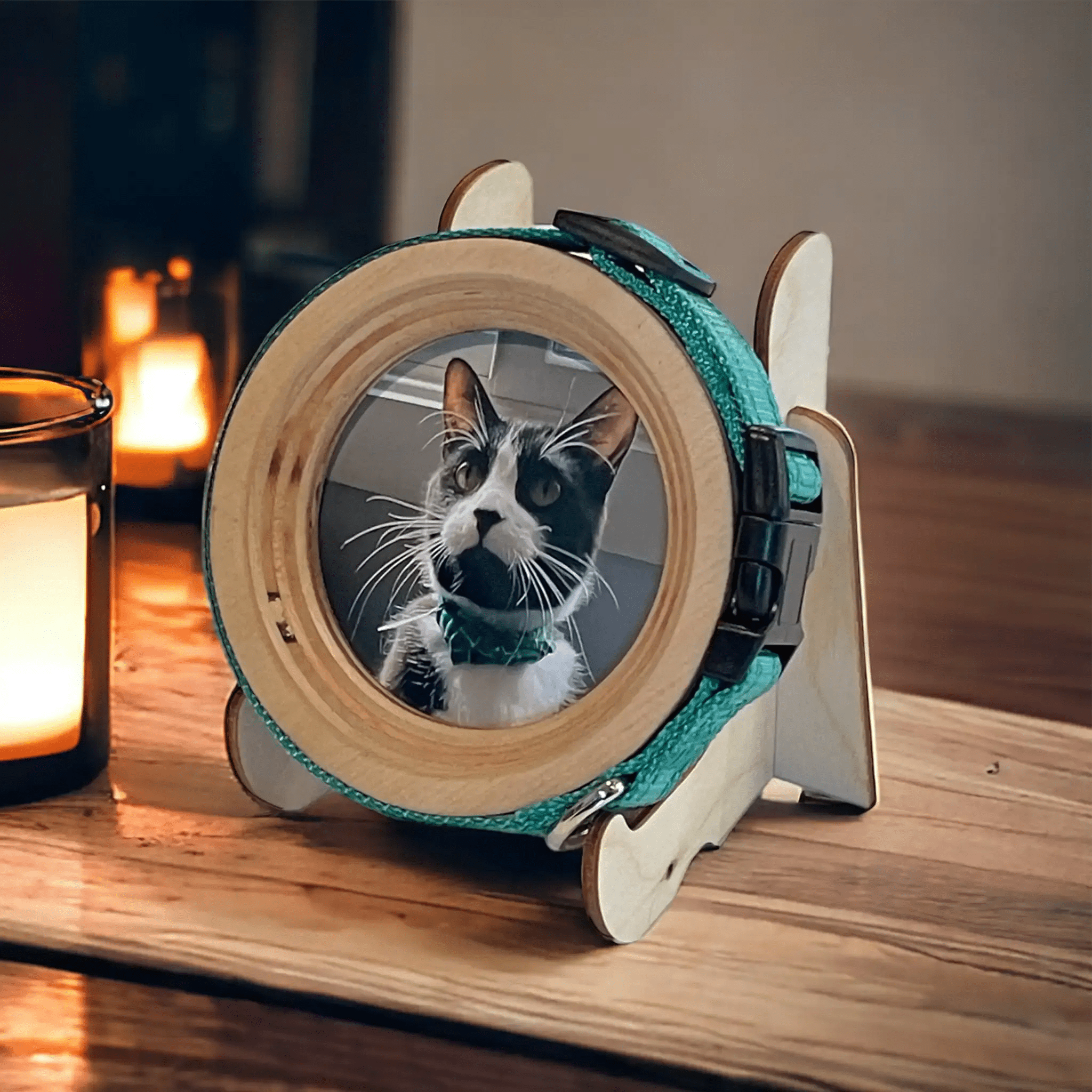 Cat Collar Frame |"The Garfield" - Ulti - Mutt Toys
