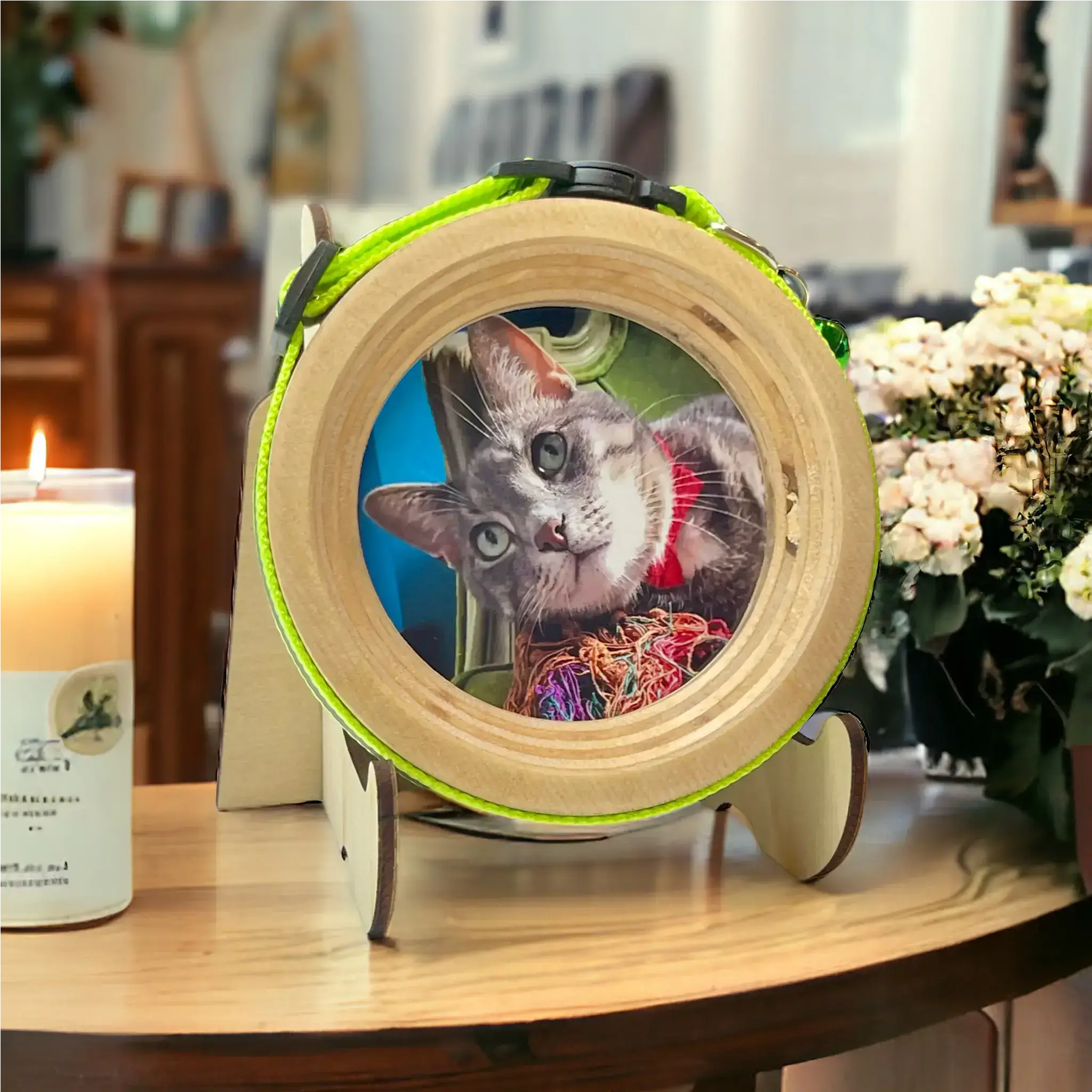 Cat Collar Frame |"The Garfield" - Ulti - Mutt Toys