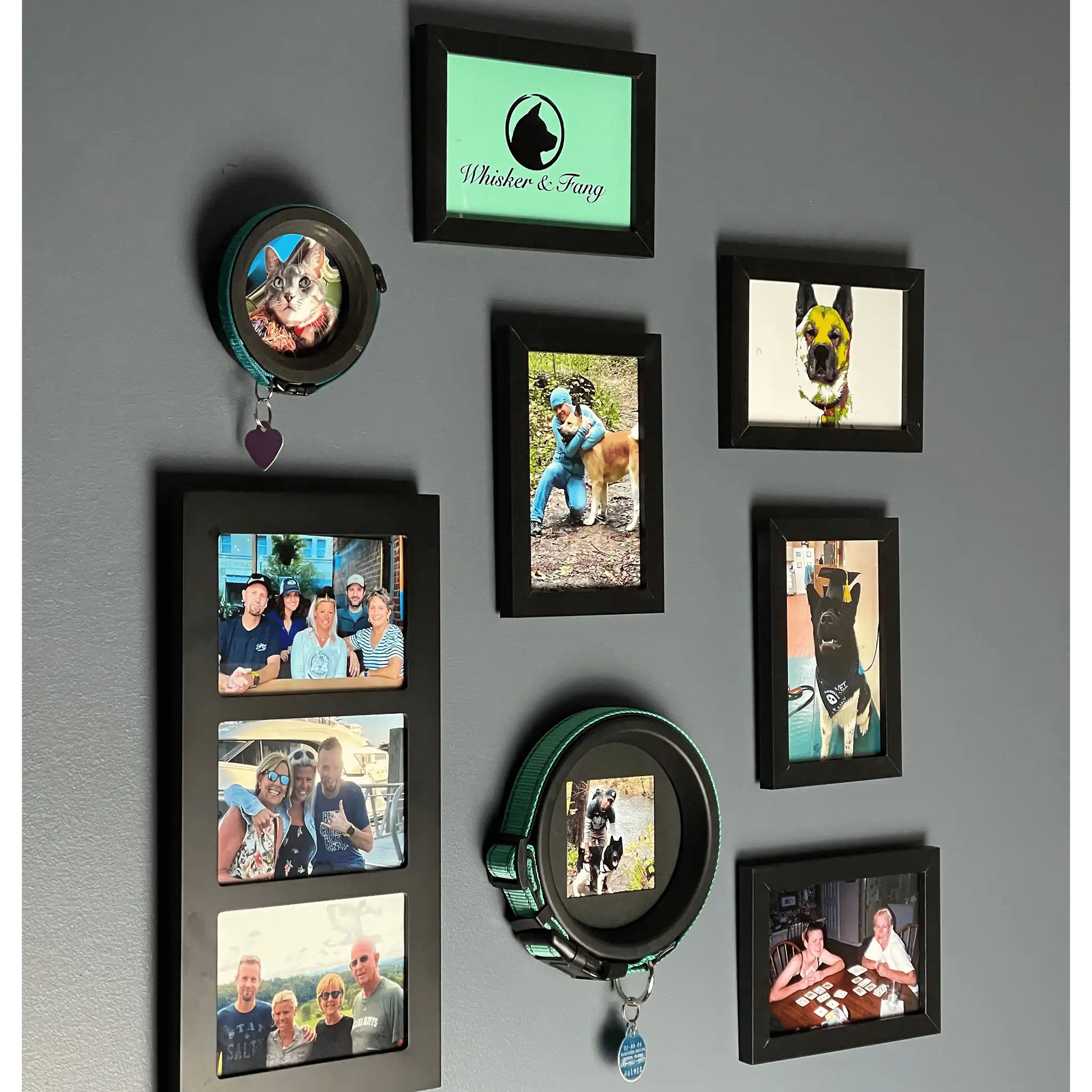 Cat Collar Frame |"The Garfield" - Ulti - Mutt Toys