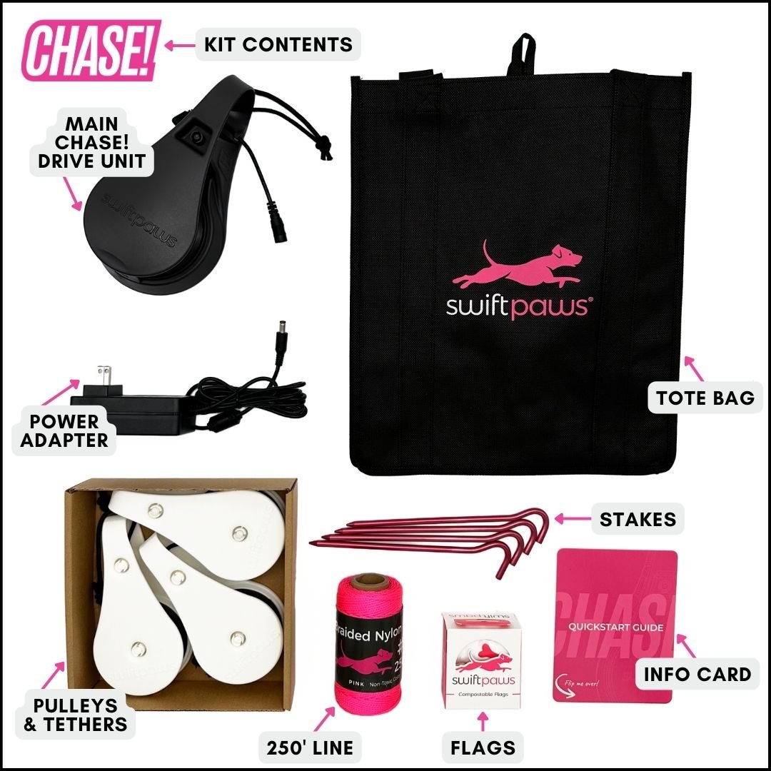 CHASE! Kit - Premium Enrichment Product for Fun Learning – Ulti