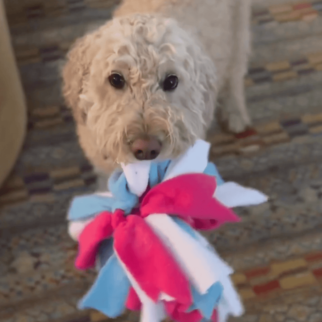 Chelsy’s Toys Snuffle Ball – Interactive Dog Enrichment, Treat & Training Toy - Ulti-Mutt Toys