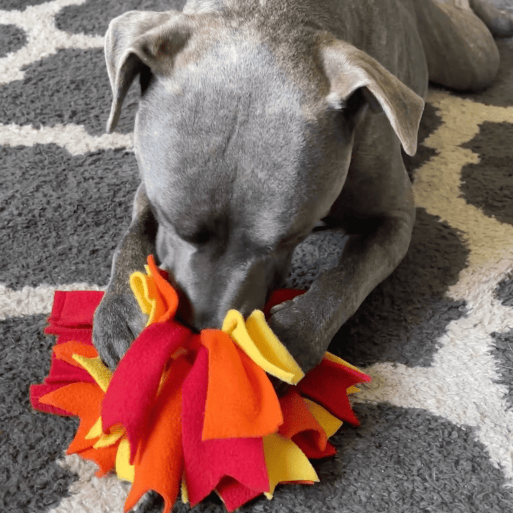 Chelsy’s Toys Snuffle Ball – Interactive Dog Enrichment, Treat & Training Toy - Ulti-Mutt Toys