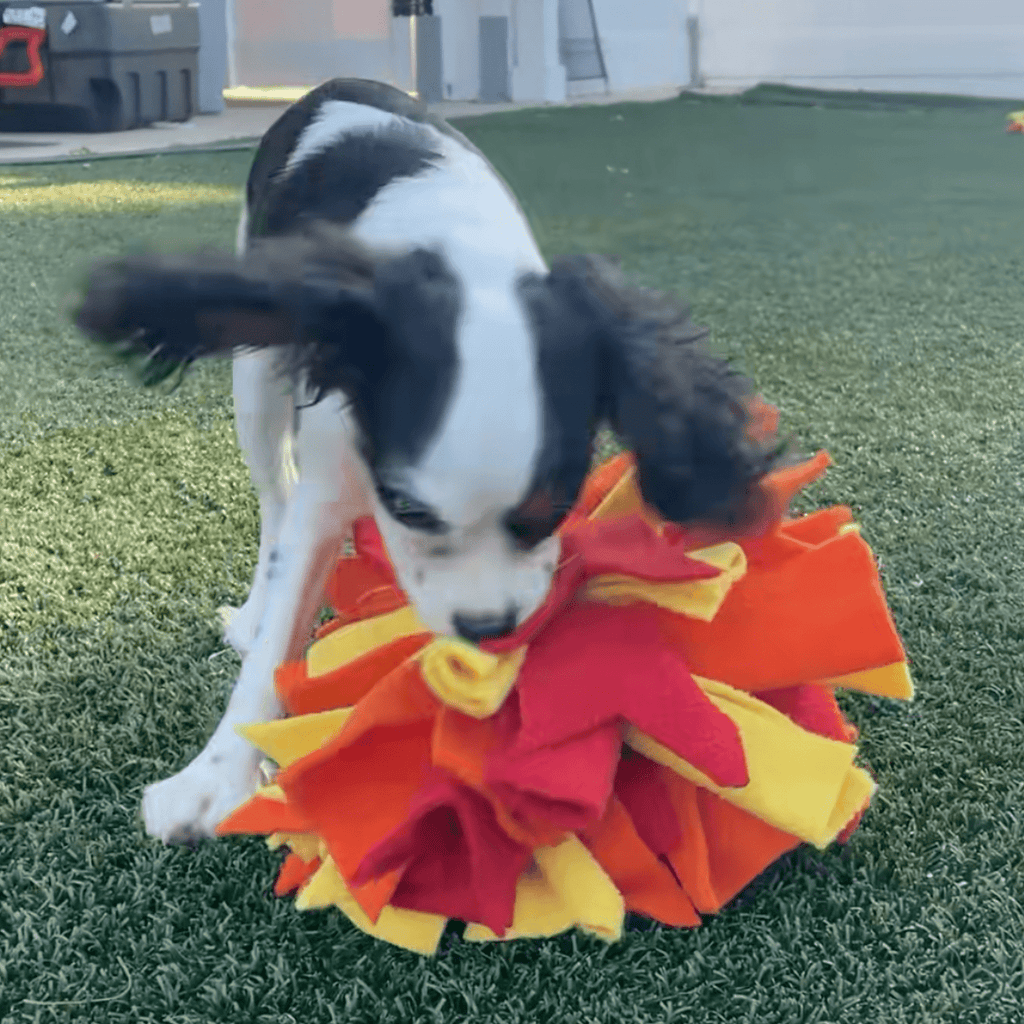 Chelsy’s Toys Snuffle Ball – Interactive Dog Enrichment, Treat & Training Toy - Ulti-Mutt Toys