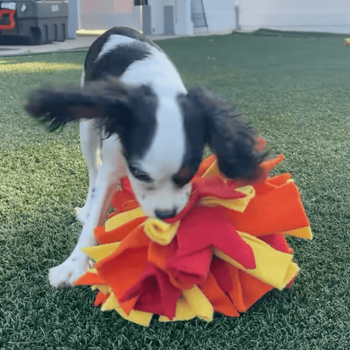 Chelsy’s Toys Snuffle Ball – Interactive Dog Enrichment, Treat & Training Toy - Ulti-Mutt Toys