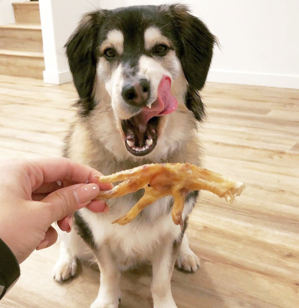 Chicken Feet - Ulti - Mutt Toys