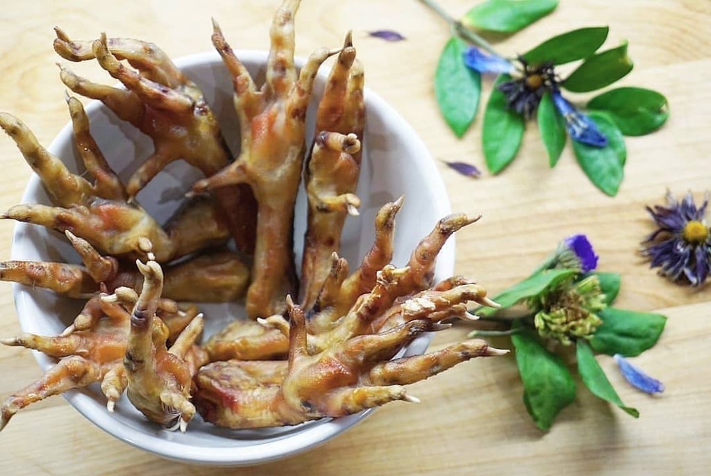Chicken Feet - Ulti - Mutt Toys