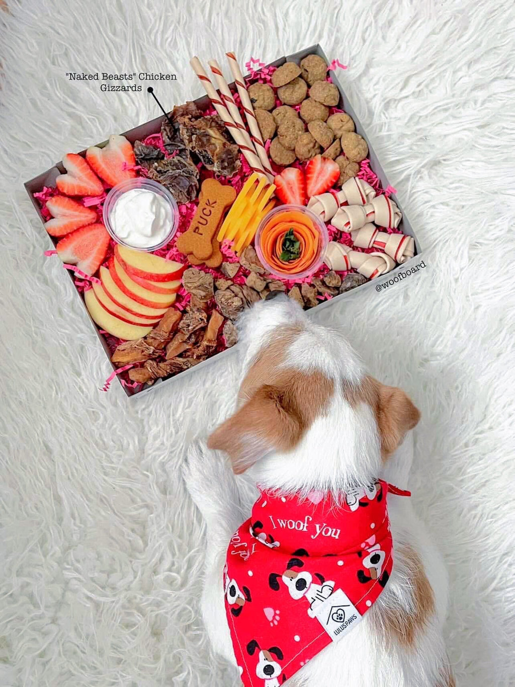 Chicken Gizzards - Ulti - Mutt Toys