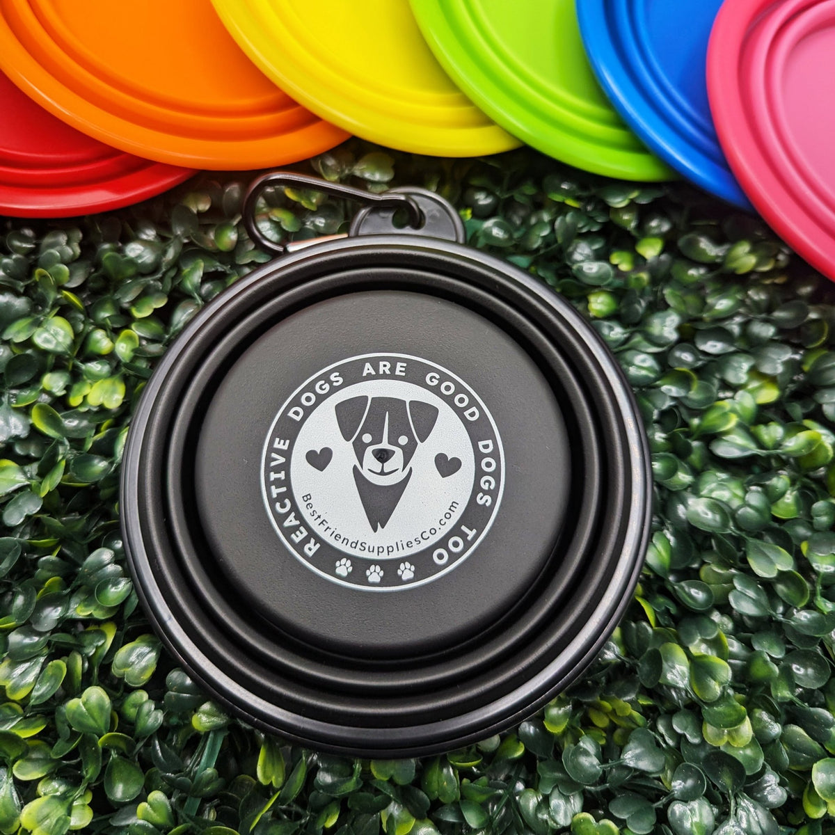 Collapsible Water Bowl - Ulti-Mutt Toys