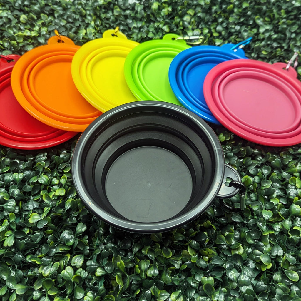 Collapsible Water Bowl - Ulti-Mutt Toys