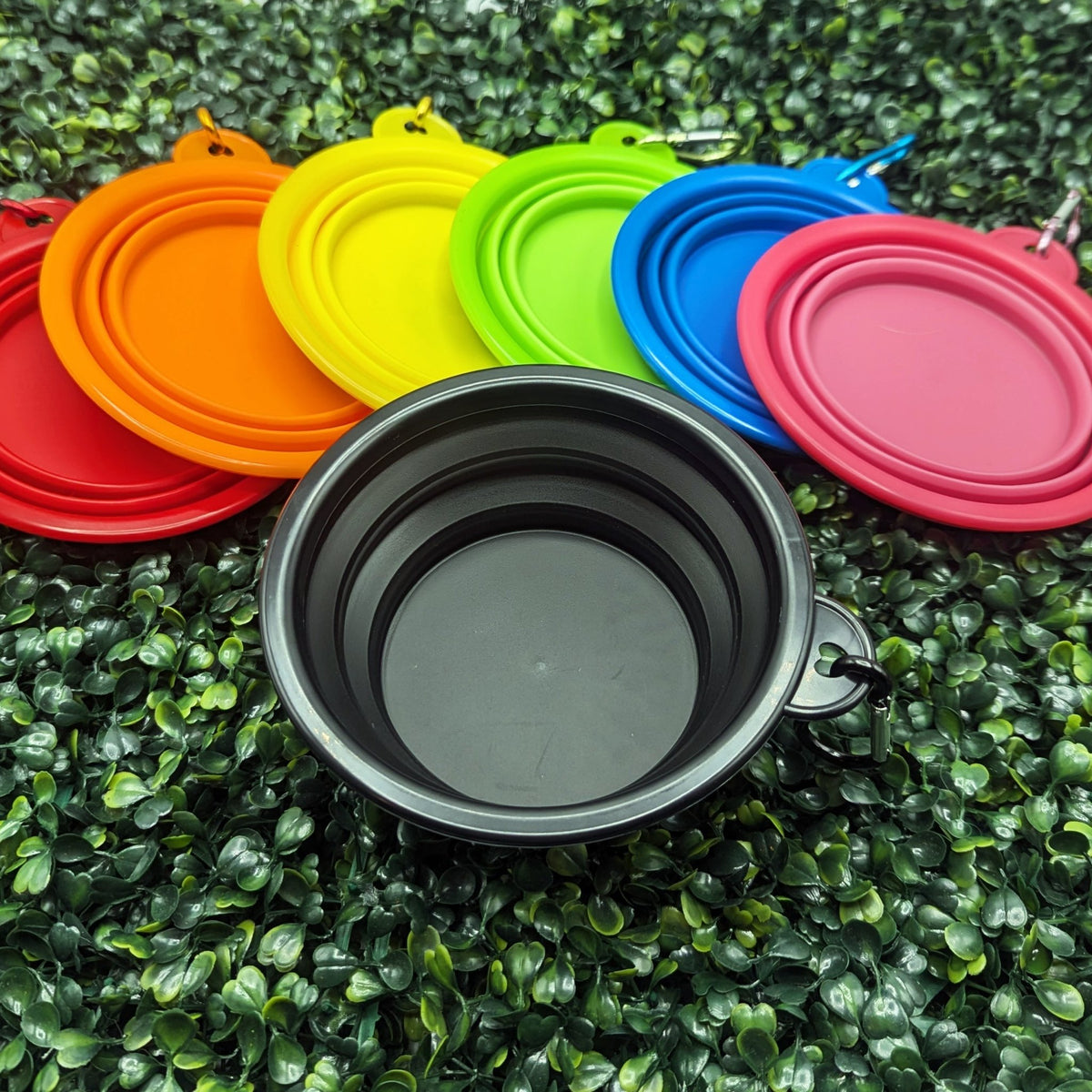Collapsible Water Bowl - Ulti-Mutt Toys