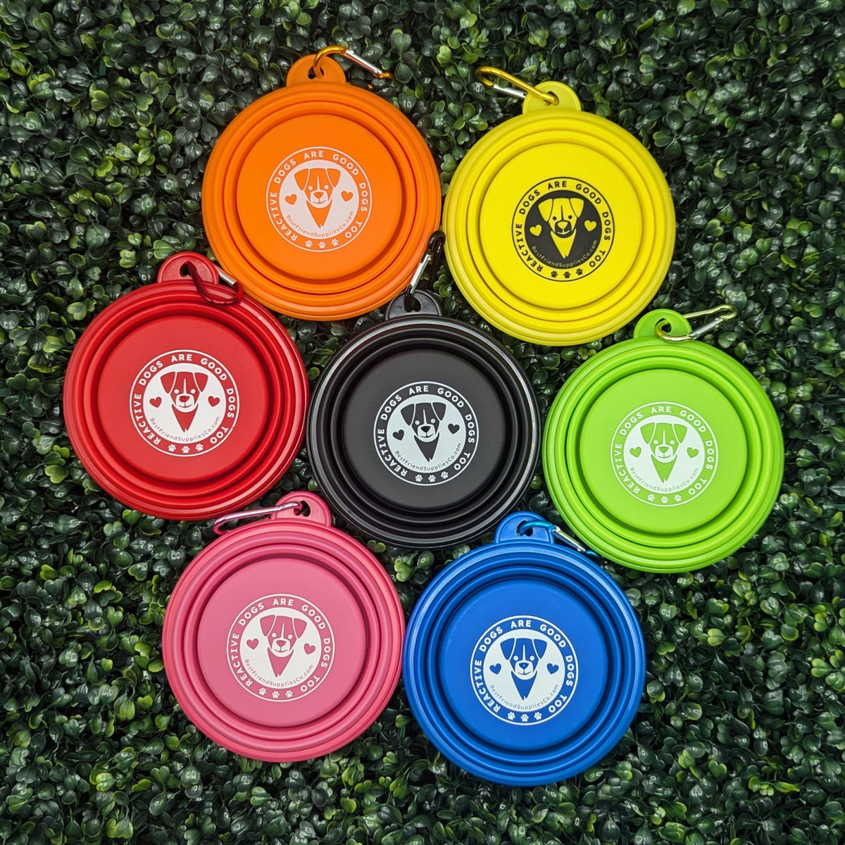 Collapsible Water Bowl - Ulti-Mutt Toys