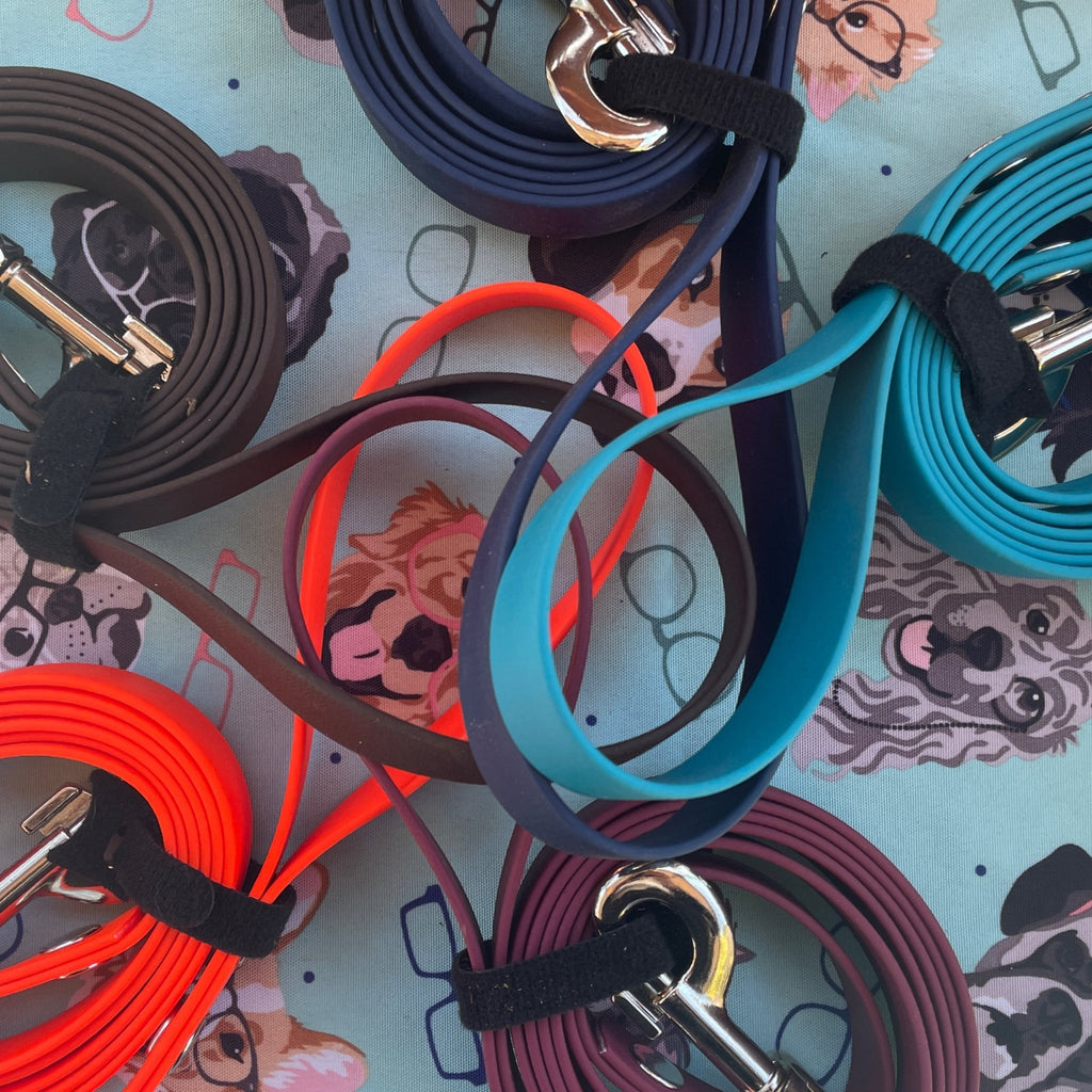 standard biothane dog leashes rolled up