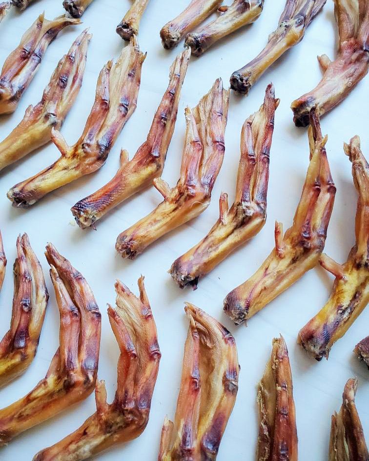 Duck Feet (ABF) - Ulti - Mutt Toys