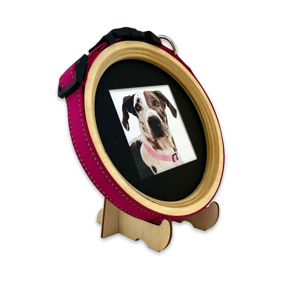 Extra Large Dog Collar Frame and Stand Bundle | "The Great Dane" - Ulti - Mutt Toys