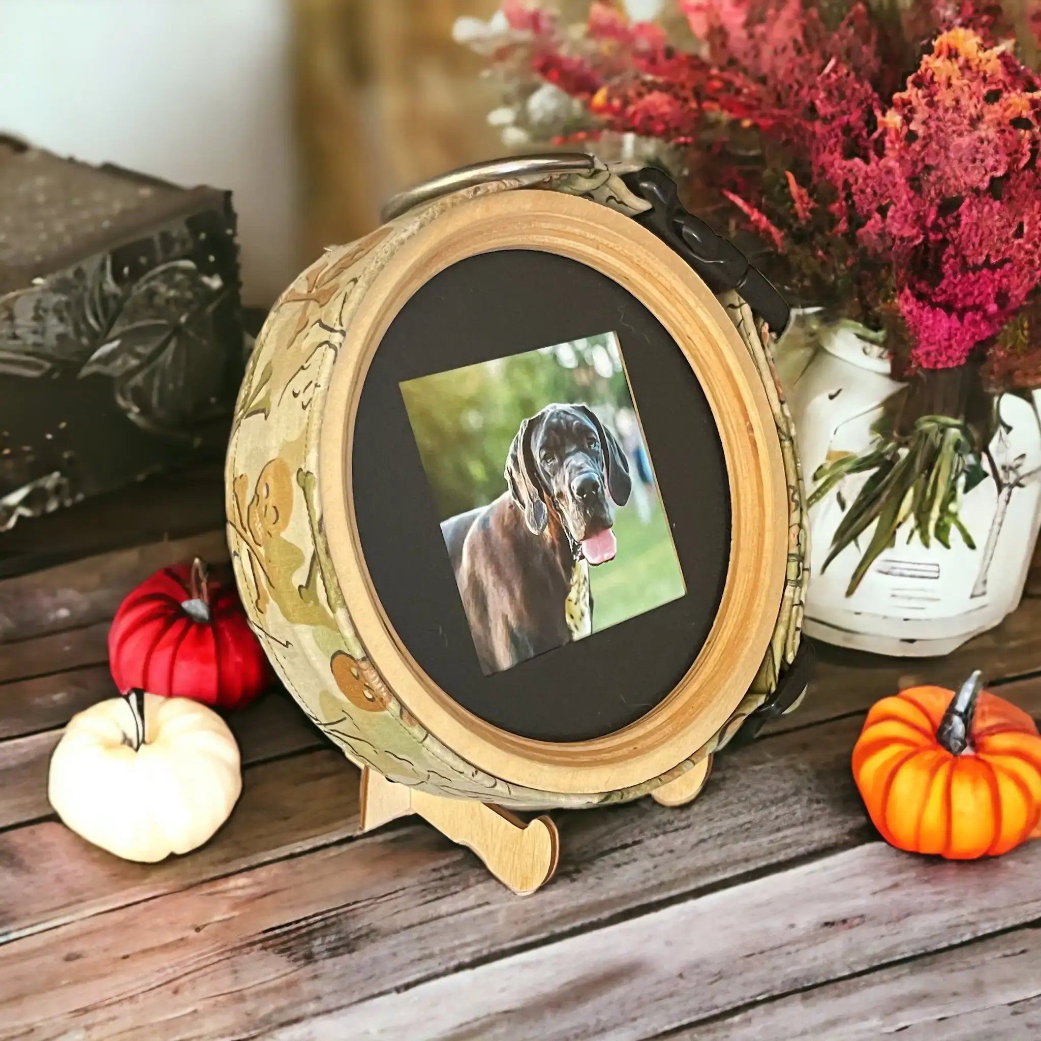 Extra Large Dog Collar Frame and Stand Bundle | "The Great Dane" - Ulti - Mutt Toys