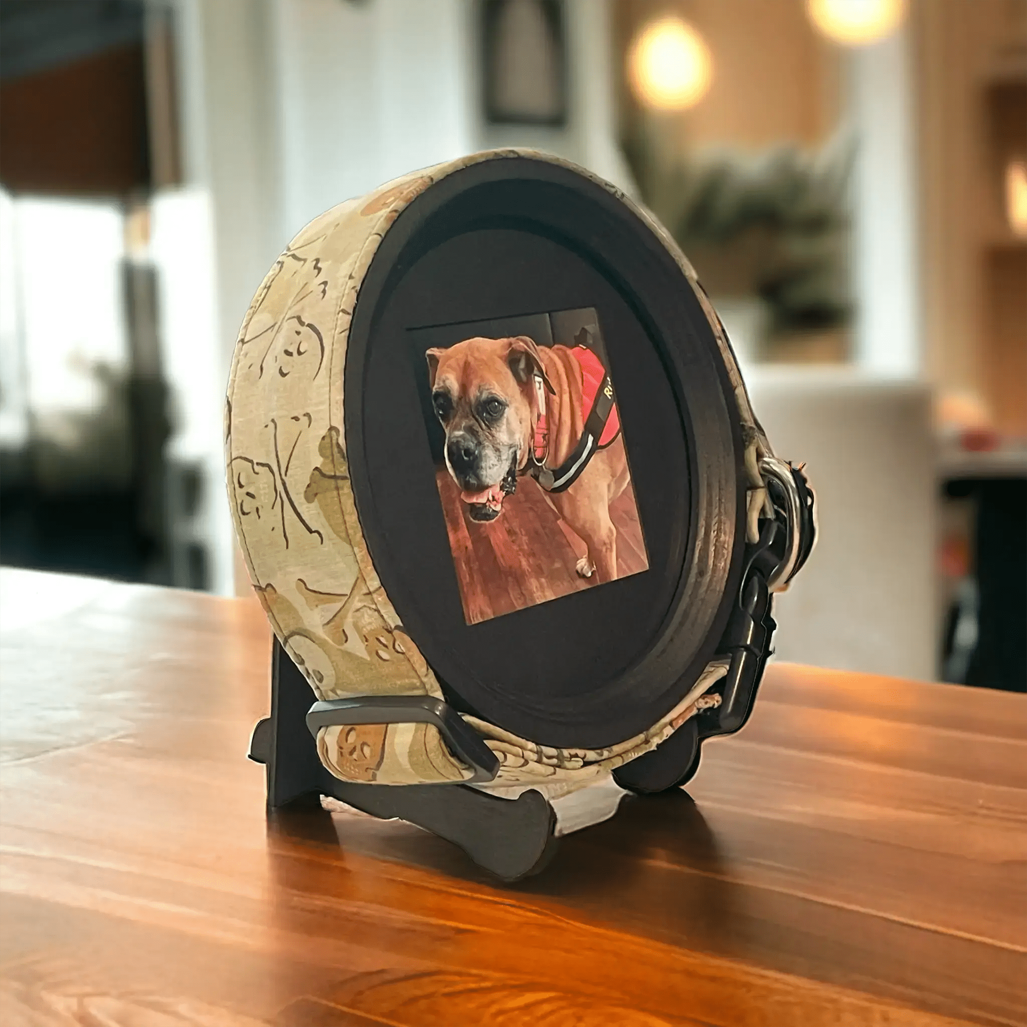Extra Wide Dog Collar Frame - Ulti - Mutt Toys