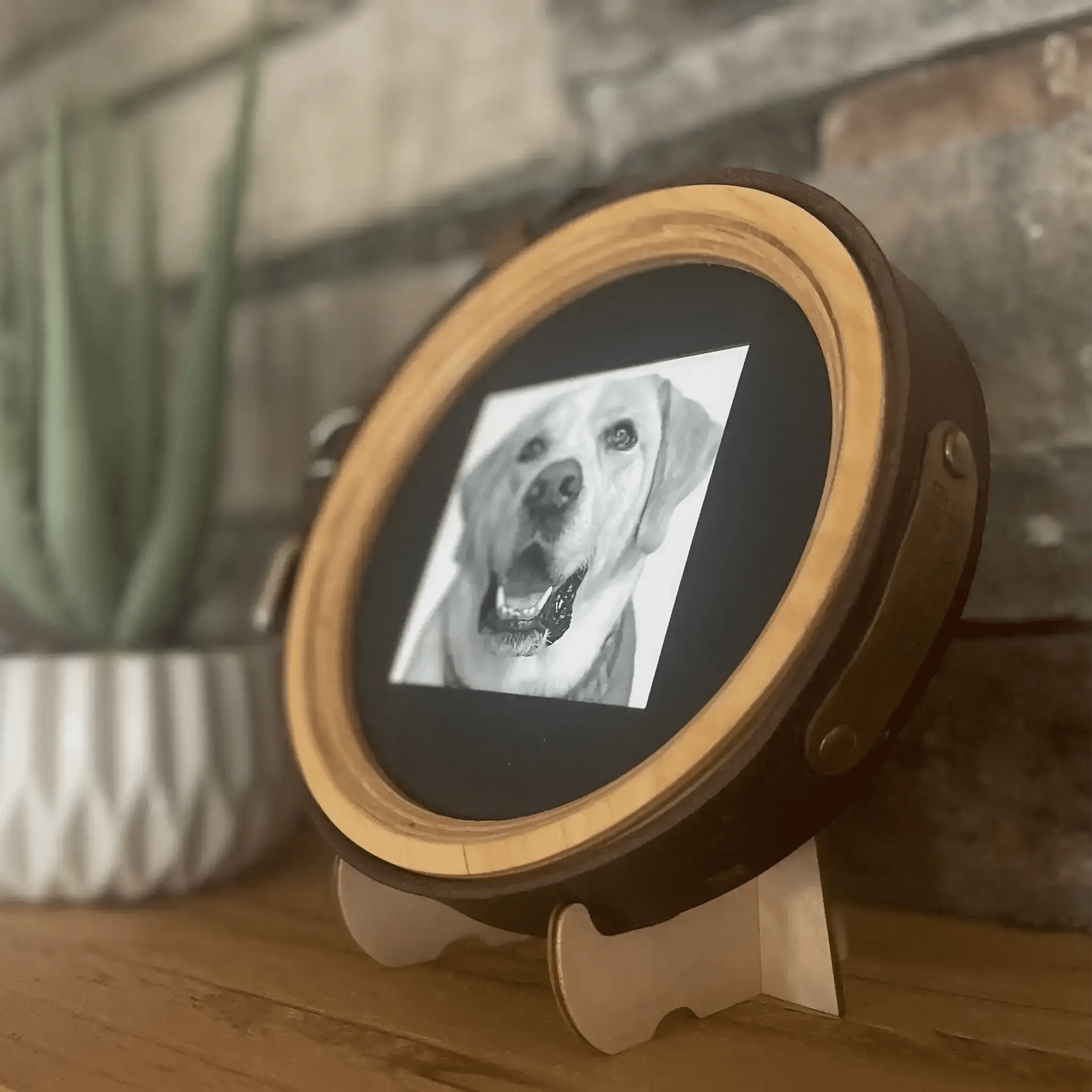 Extra Wide Dog Collar Frame - Ulti - Mutt Toys
