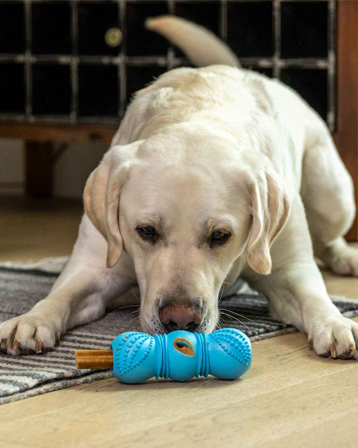 Flossr™ - Ulti-Mutt Toys