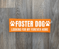 Foster Dog - Looking For My Forever Home Leash Flag - Ulti - Mutt Toys