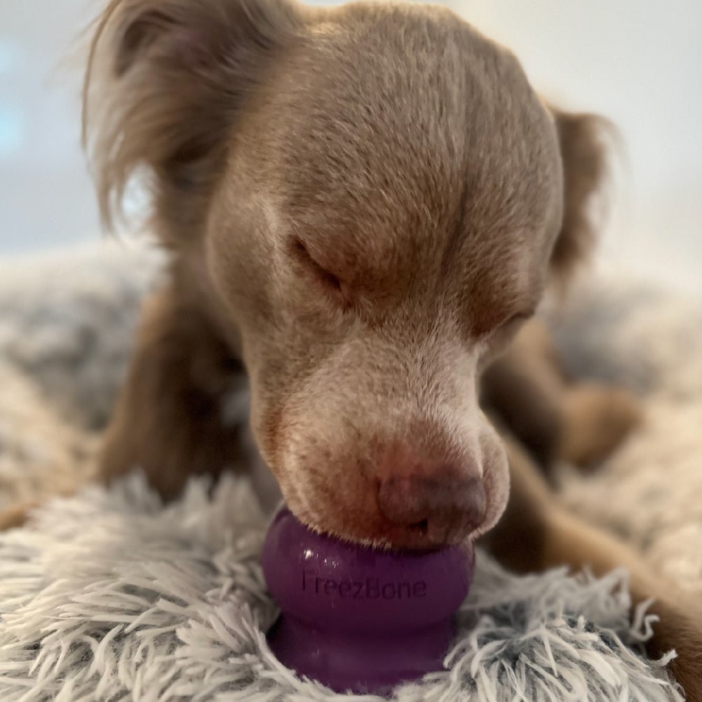 Freezball - Durable Fillable Dog Chew Bone - Ulti - Mutt Toys