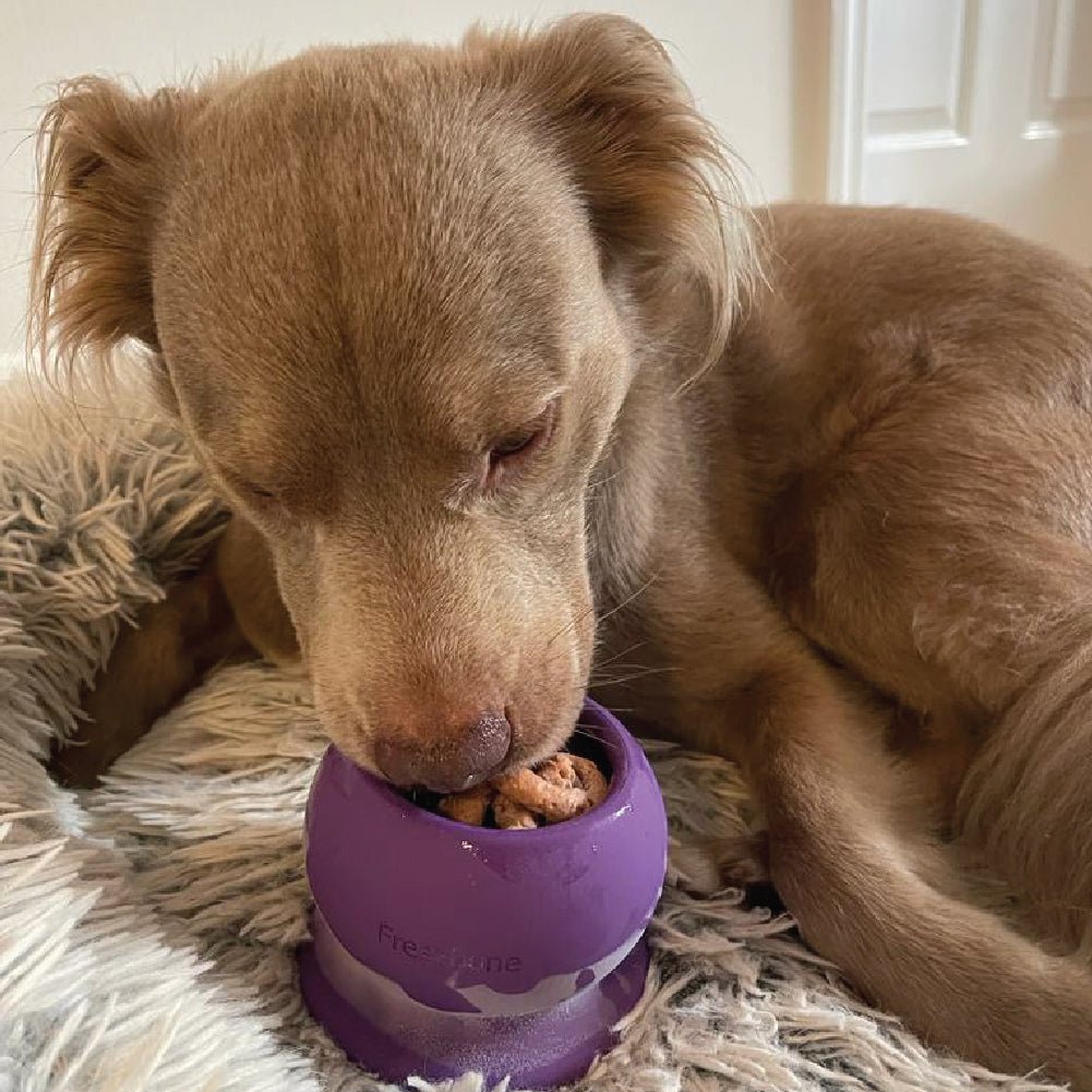 Freezball - Durable Fillable Dog Chew Bone - Ulti - Mutt Toys