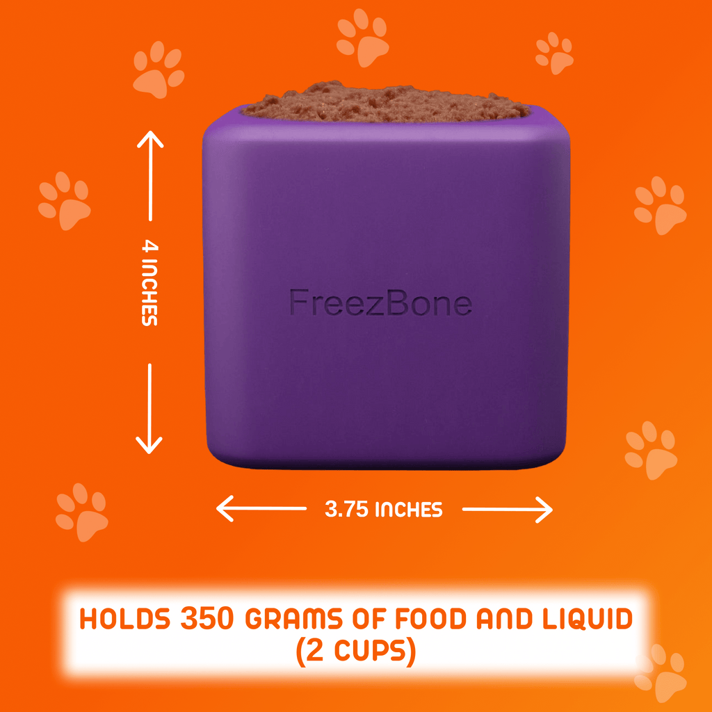 Freezbox - Super Tough Treat Toy - Ulti - Mutt Toys
