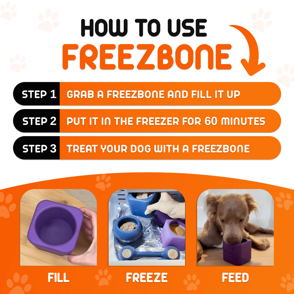 Freezbox - Super Tough Treat Toy - Ulti - Mutt Toys