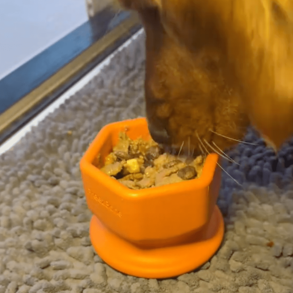 FreezCup - Long - Lasting Chew Fun - Ulti - Mutt Toys