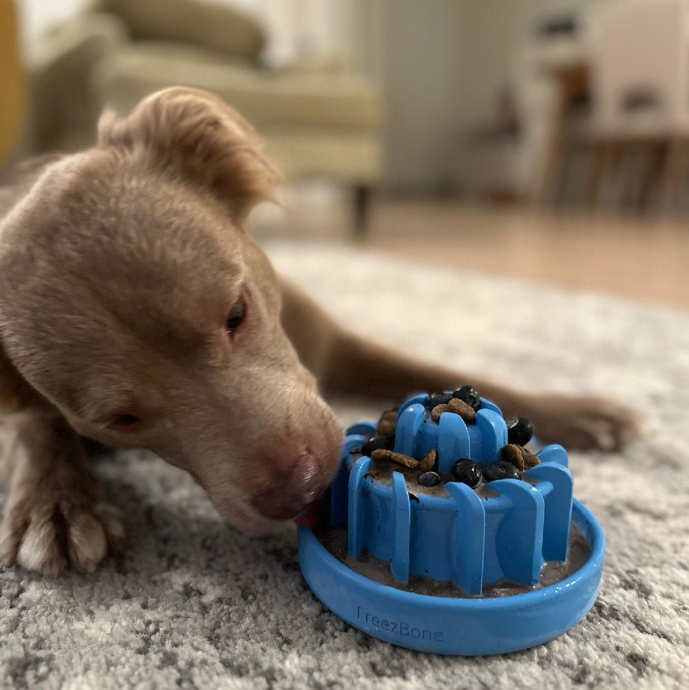 FreezLava Heavy - Duty Enrichment Chew - Ulti - Mutt Toys